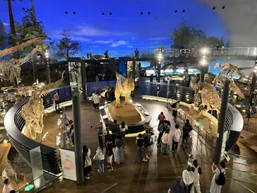 福井県立恐竜博物館に投稿された画像（2026/6/3）
