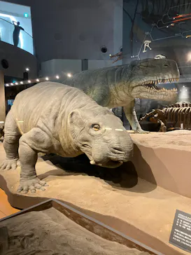 福井県立恐竜博物館に投稿された画像（2026/6/3）