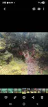 武藤潜水に投稿された画像（2026/6/3）