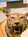 特別展「超危険生物展　科学で挑む生き物の本気」に投稿された画像（2026/6/3）