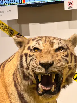 特別展「超危険生物展　科学で挑む生き物の本気」に投稿された画像（2026/6/3）