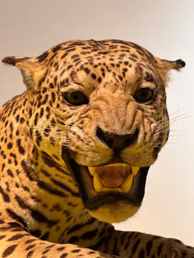 特別展「超危険生物展　科学で挑む生き物の本気」に投稿された画像（2026/6/3）