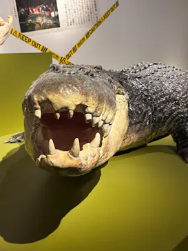 特別展「超危険生物展　科学で挑む生き物の本気」に投稿された画像（2026/6/3）
