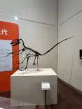 特別展「鳥 ～ゲノム解析が解き明かす新しい鳥類の系統～」に投稿された画像（2026/6/3）