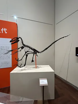 特別展「鳥 ～ゲノム解析が解き明かす新しい鳥類の系統～」に投稿された画像（2026/6/3）