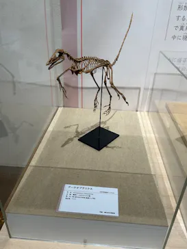 特別展「鳥 ～ゲノム解析が解き明かす新しい鳥類の系統～」に投稿された画像（2026/6/3）