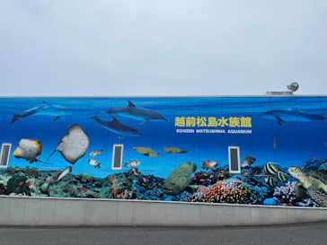 越前松島水族館に投稿された画像（2026/6/3）