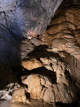 CAVE OKINAWAに投稿された画像（2026/6/3）