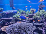横浜・八景島シーパラダイスに投稿された画像（2026/6/3）