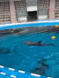 仙台うみの杜水族館に投稿された画像（2026/6/3）