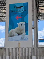 天王寺動物園に投稿された画像（2026/6/3）
