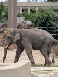 天王寺動物園に投稿された画像（2026/6/3）