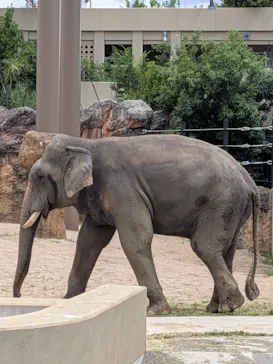天王寺動物園に投稿された画像（2026/6/3）