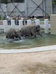 天王寺動物園に投稿された画像（2026/6/3）