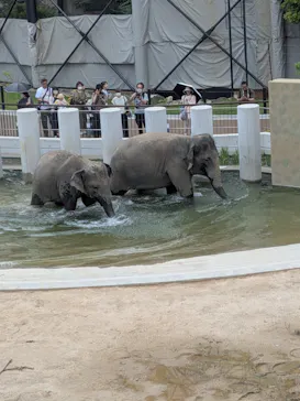 天王寺動物園に投稿された画像（2026/6/3）