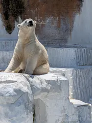 天王寺動物園に投稿された画像（2026/6/3）