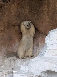 天王寺動物園に投稿された画像（2026/6/3）