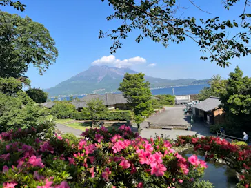 仙巌園に投稿された画像（2026/6/3）