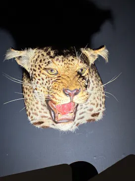 特別展「超危険生物展　科学で挑む生き物の本気」に投稿された画像（2026/6/3）