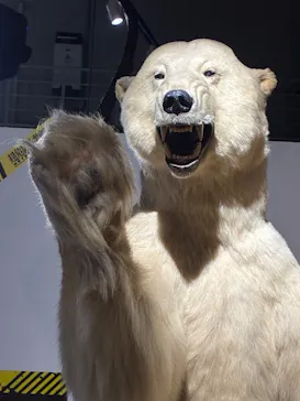 特別展「超危険生物展　科学で挑む生き物の本気」に投稿された画像（2026/6/3）