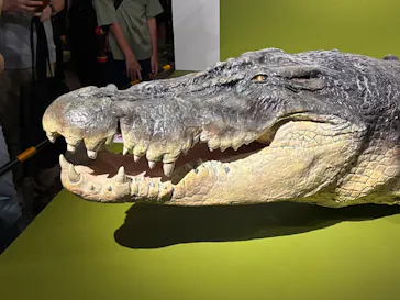 特別展「超危険生物展　科学で挑む生き物の本気」に投稿された画像（2026/6/3）