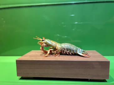 特別展「超危険生物展　科学で挑む生き物の本気」に投稿された画像（2026/6/3）