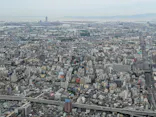 ハルカス300(展望台)に投稿された画像（2026/6/4）