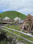 伊豆シャボテン動物公園に投稿された画像（2026/6/4）