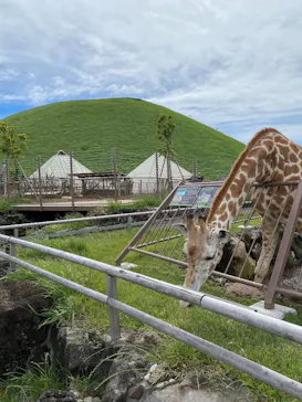 伊豆シャボテン動物公園に投稿された画像（2026/6/4）