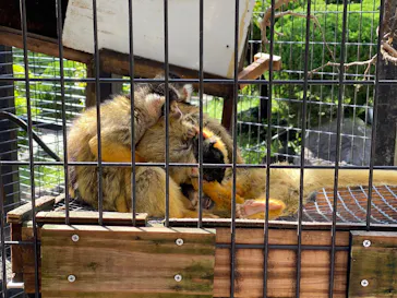 伊豆シャボテン動物公園に投稿された画像（2026/6/4）