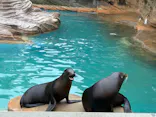 名古屋市東山動植物園に投稿された画像（2026/6/4）