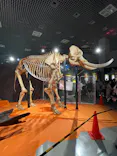 特別展「超危険生物展　科学で挑む生き物の本気」に投稿された画像（2026/6/4）