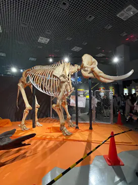 特別展「超危険生物展　科学で挑む生き物の本気」に投稿された画像（2026/6/4）