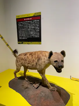 特別展「超危険生物展　科学で挑む生き物の本気」に投稿された画像（2026/6/4）