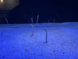 竹島水族館に投稿された画像（2026/6/4）