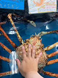 竹島水族館に投稿された画像（2026/6/4）