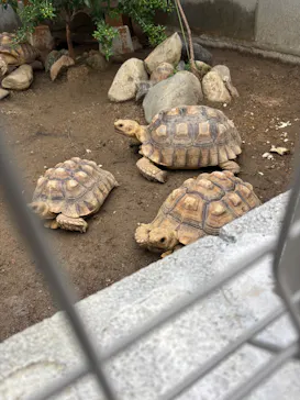 竹島水族館に投稿された画像（2026/6/4）