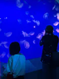 新江ノ島水族館に投稿された画像（2026/6/4）