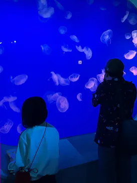 新江ノ島水族館に投稿された画像（2026/6/4）