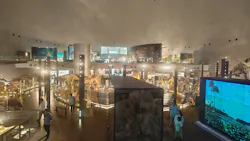福井県立恐竜博物館に投稿された画像（2026/6/4）