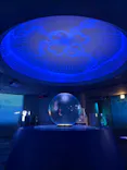 新江ノ島水族館に投稿された画像（2026/6/4）