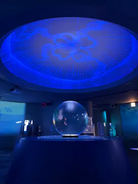 新江ノ島水族館に投稿された画像（2026/6/4）