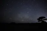 （株）美ら星アイランドに投稿された画像（2026/6/4）