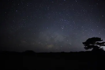 （株）美ら星アイランドに投稿された画像（2026/6/4）
