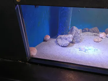 竹島水族館に投稿された画像（2026/6/4）