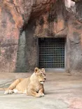 天王寺動物園に投稿された画像（2026/6/4）