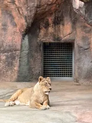 天王寺動物園に投稿された画像（2026/6/4）