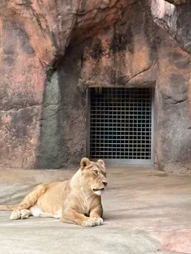 天王寺動物園に投稿された画像（2026/6/4）