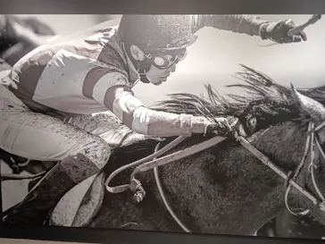 武豊 デビュー40年 ～前人未到の記録～　（銀座三越）に投稿された画像（2026/6/4）