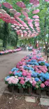 ムーミンバレーパークに投稿された画像（2026/6/4）